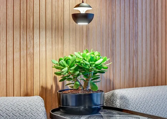 Apartment Granaria & By Renters *