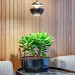 아파트 Granaria & By Renters *