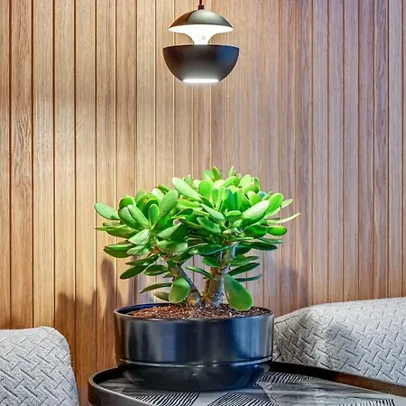 Apartment Granaria & By Renters *